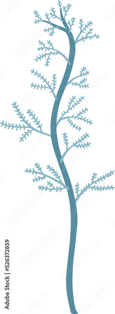 Obraz premium Seaweed, underwater plants.