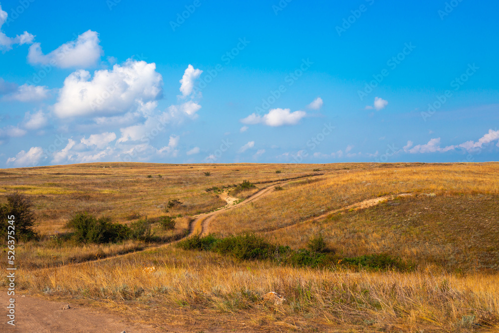 Steppe dirt roads with dry grass and blue sky. Summer steppe landscape