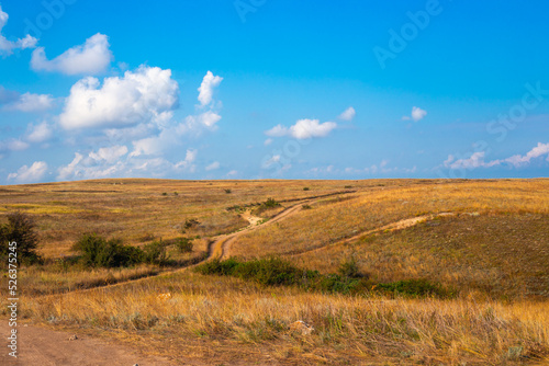 Fototapeta Naklejka Na Ścianę i Meble -  Steppe dirt roads with dry grass and blue sky. Summer steppe landscape