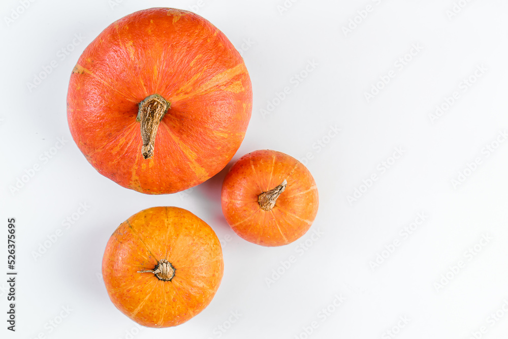 Three ripe pumpkins on white background. Autumn harvest. Thanksgiving and halloween symbol. Three ripe pumpkins on white background. Autumn harvest. Thanksgiving and halloween symbol.