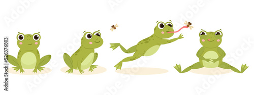 Fotografia Cartoon cute hunting frog, amphibian carnivore catch insects