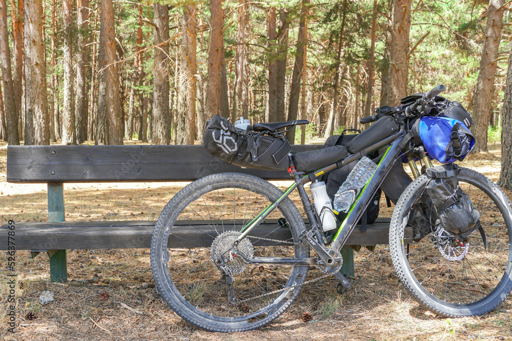 Bicicleta de bikepacking con todo el equipo apoyada en un banco delante de un bosque de abetos enormes