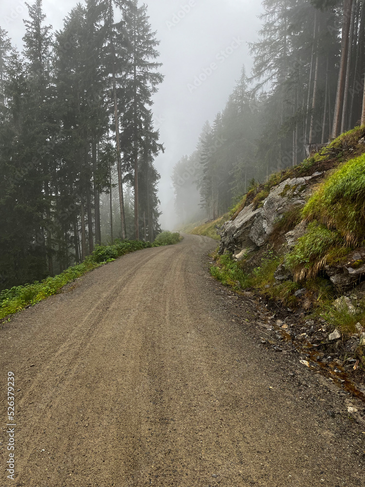 strasse forstweg nach unten in den ötztaler alpen, mit nebelband am vormittag strasse forstweg nach unten in den ötztaler alpen, mit nebelband am vormittag