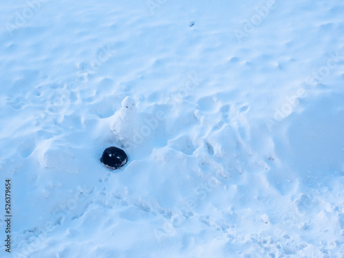 Dog in snow, sleeping near snowman in spiral shape.