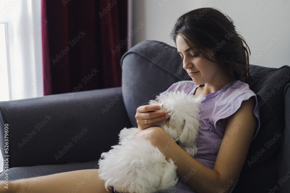 A girl is playing with a small beautiful white dog. A girl is playing with a small beautiful white dog.