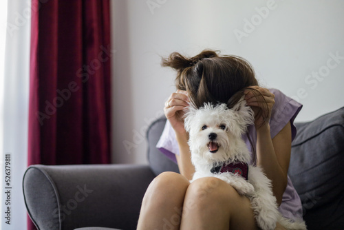 A girl is playing with a small beautiful white dog.