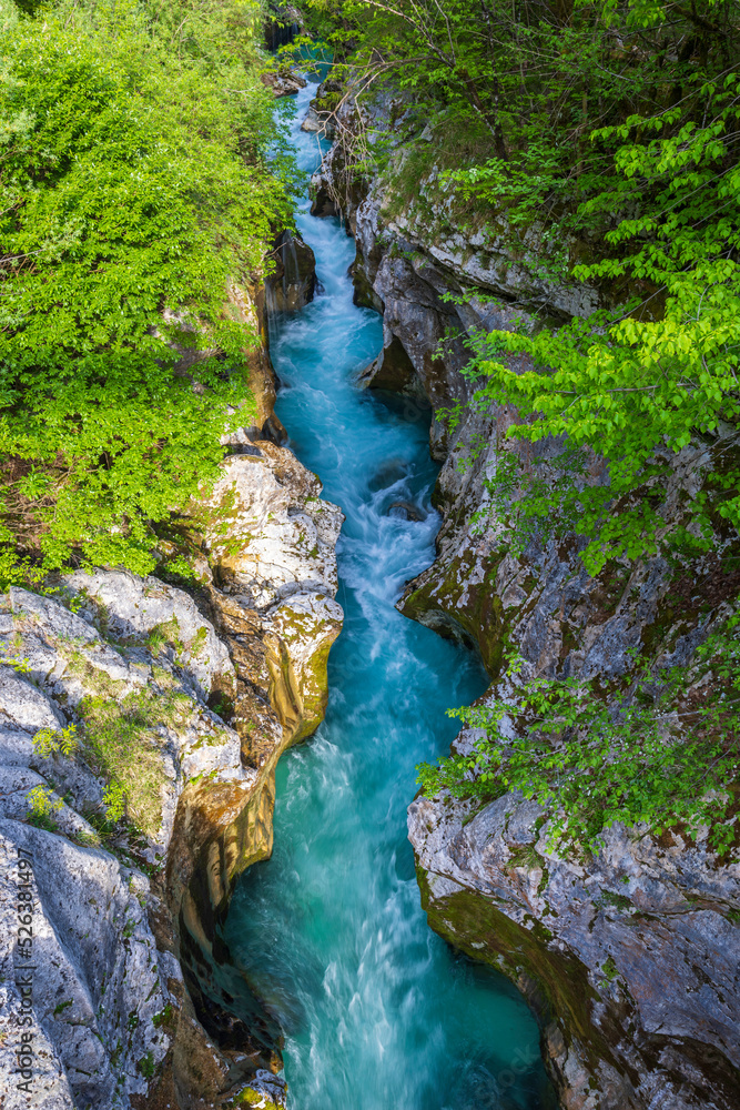 Great Soca Gorge (Velika korita Soce), Triglavski national park, Slovenia Great Soca Gorge (Velika korita Soce), Triglavski national park, Slovenia