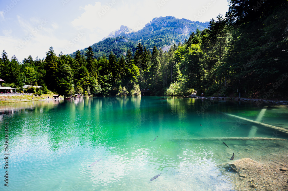Oeschinensee on a sunny summer day
