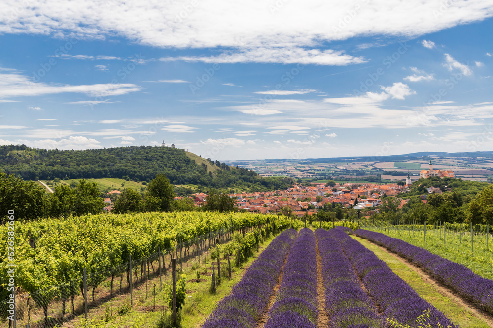 South Moravian town of Mikulov with the lavender field in Czech Republic