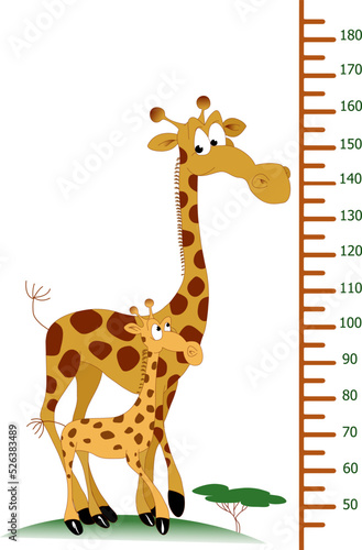 Kids height chart, cute scale measurement for children grow. Baby measure meter for kindergarten with giraffes. Vector cartoon illustration