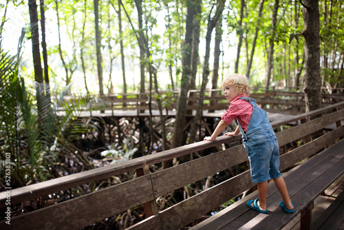 Child in mangrove forest. Asia travel.