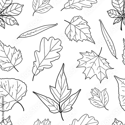 Seamless pattern with leaves, vector illustration