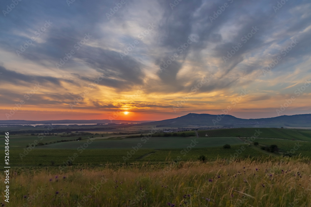 Fototapeta premium Sunrise in vineyards under Palava, Southern Moravia, Czech Republic