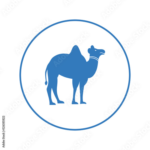 Desert camel wild animal icon   Circle version icon  