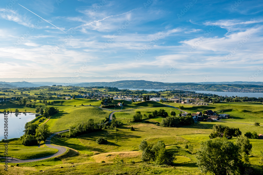 Meadow landscape with a view of Lake Zurich - Wollerau, Switzerland