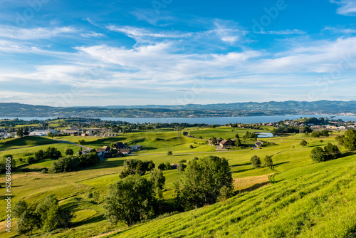 Meadow landscape with a view of Lake Zurich - Wollerau  Switzerland