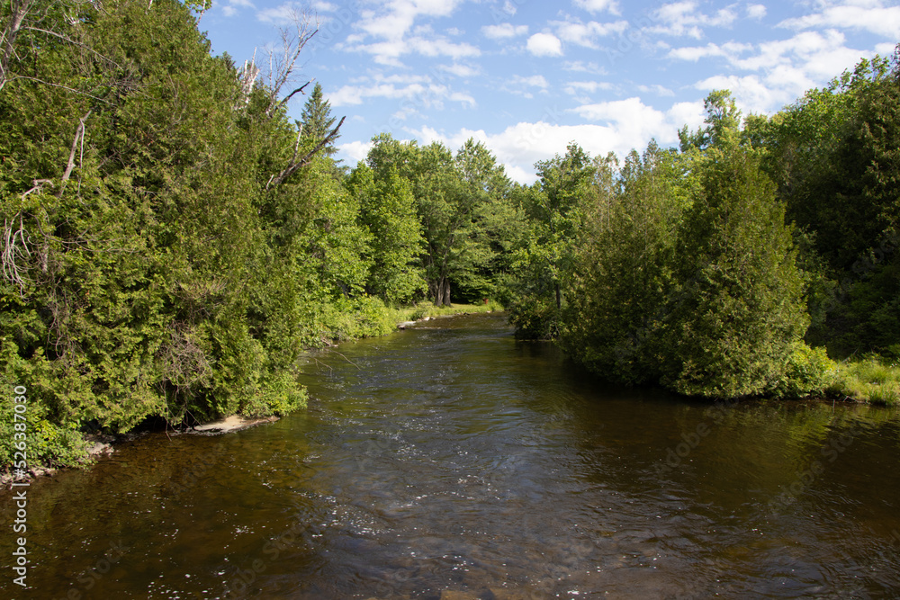 a shallow river at Canal Lake in Ontario, Canada a shallow river at Canal Lake in Ontario, Canada