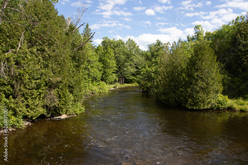 a shallow river at Canal Lake in Ontario, Canada