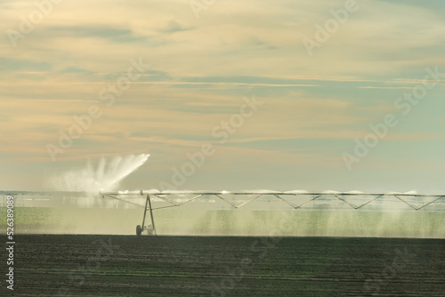 Center pivot irrigation system, pipes with sprinklers watering a plantation at dawn.