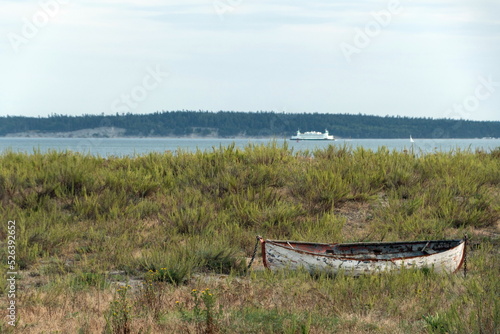 Decayed abandoned boat in grass in front of a passenger ferry