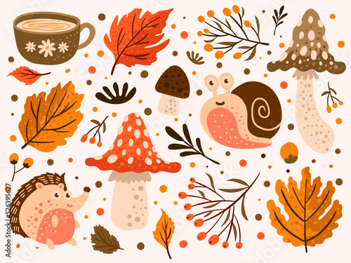 Autumn Element Set Vector