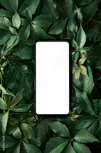 White empty mobile phone screen template mockup for product app ads on green leaves nature organic cosmetic flat lay background, trendy stylish minimalist flatlay vertical backdrop. Smartphone mock up