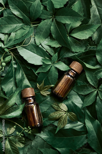 Small bottles with essential oil or cosmetic serum mock up on green leaves vertical background. Natural organic cosmetic product presentation ad flat lay, trendy stylish minimalist nature flatlay.