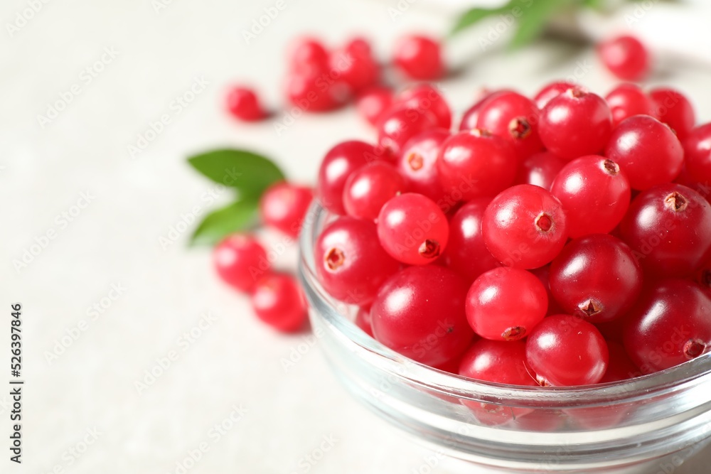 Fresh cranberry in bowl on light table, closeup. Space for text Fresh cranberry in bowl on light table, closeup. Space for text