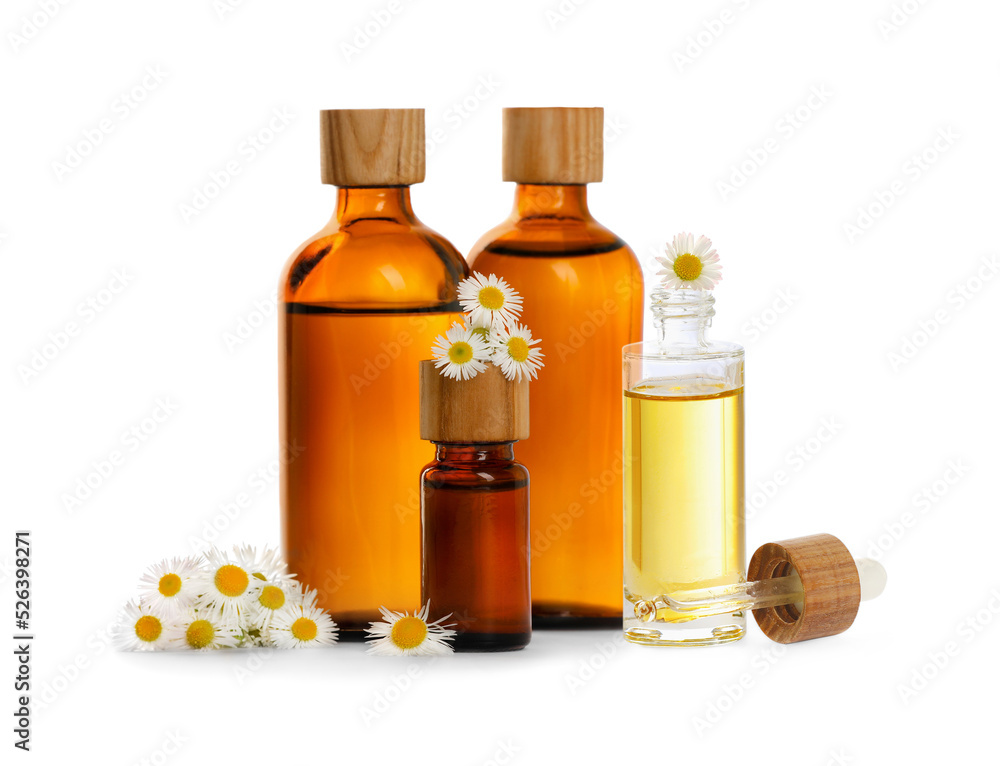 Bottles of chamomile essential oil and flowers on white background Bottles of chamomile essential oil and flowers on white background