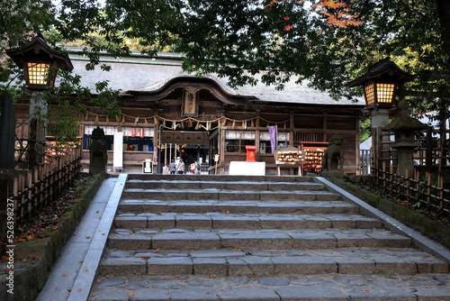 秋の仙台大崎八幡神社の参道の風景 © satou y1