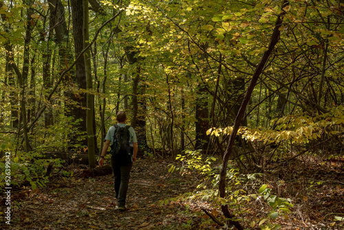 Man Hikes Through Forest in Early Fall © kellyvandellen