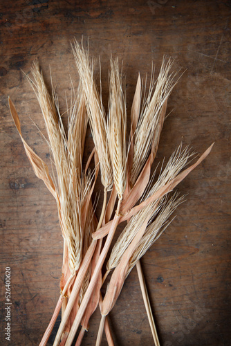 Dried wheat ears arranged on a harvest table.