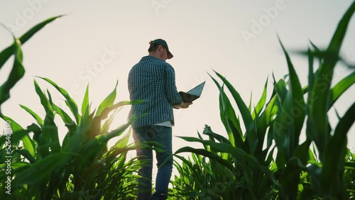 Agronomist on farm, Modern digital technologies. Farmer man in corn field works with computer, Business Farm. Agriculture concept. Farmer with laptop in green corn field. Active Worker works on farm photo