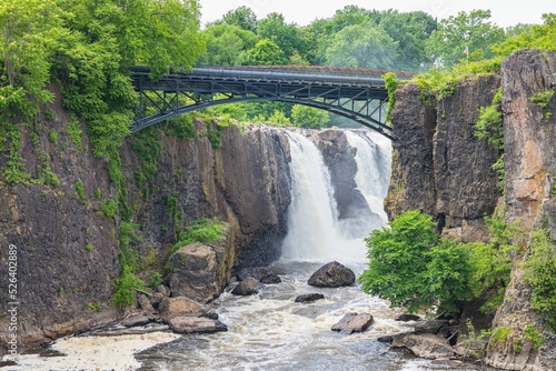 Gorgeous view of lush green trees surrounding a bridge at the Paterson Great Falls National  Park photo