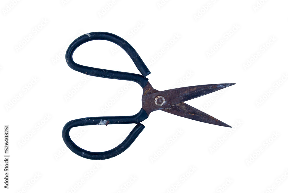 Old scissors isolated on white background,An old(vintage) iron scissors for horticulture(flower, tree, garden) Old scissors isolated on white background,An old(vintage) iron scissors for horticulture(flower, tree, garden)