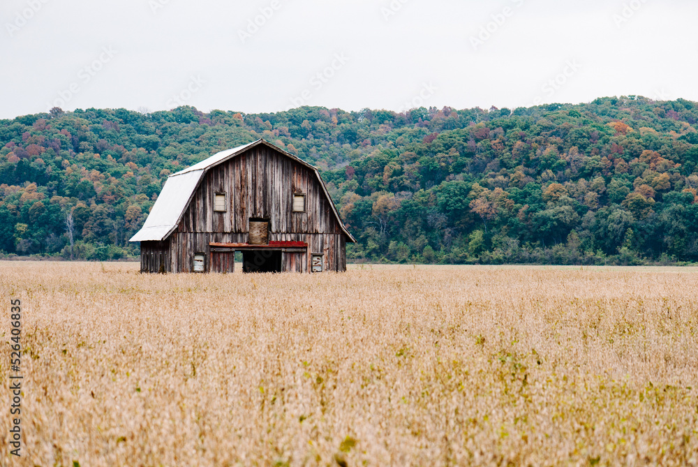 old barn in field with fall colors old barn in field with fall colors