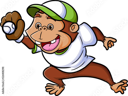 The chimpanzee as the catcher is catching the ball