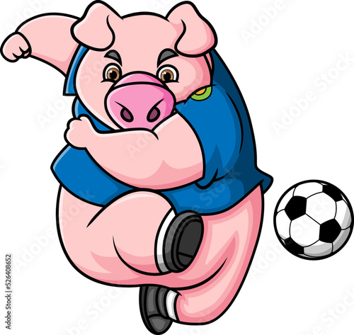 The brave pig is playing football and kicking the ball hardly