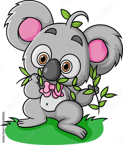 Fototapeta Naklejka Na Ścianę i Meble -  The koala is eating foliage in the garden