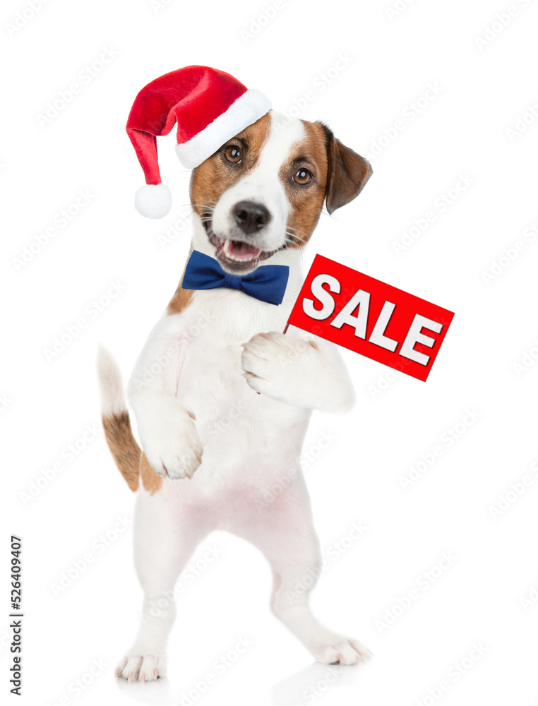 Funny Jack russell terrier puppy  wearing santa hat holds sales symbol. isolated on white background