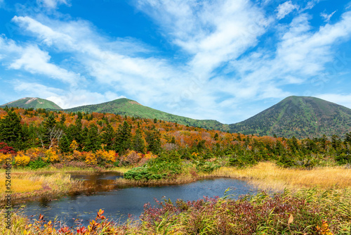 【青森県八甲田山】紅葉に映える睡蓮沼と北八甲田連峰。八甲田は日本有数の紅葉スポットと言われる。