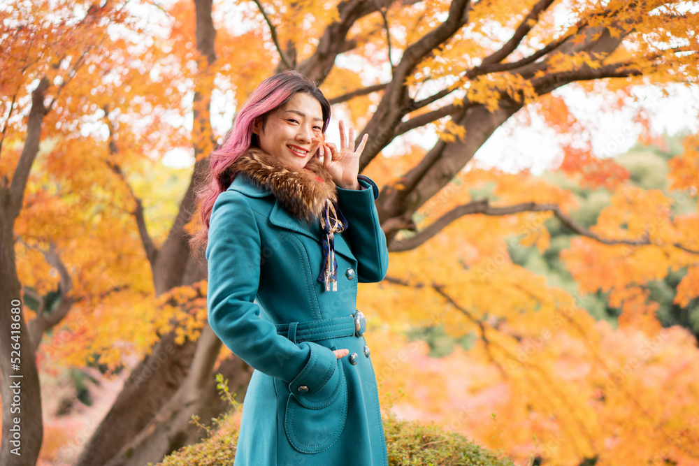 美しい日本女性 美しい日本女性