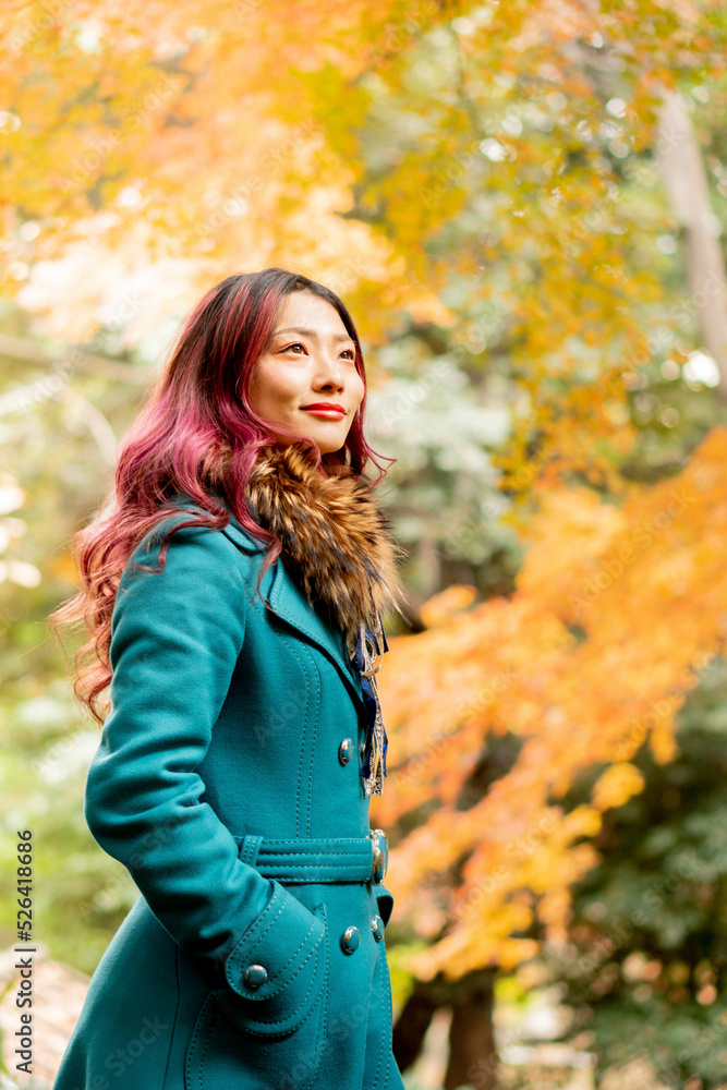 美しい日本女性 美しい日本女性