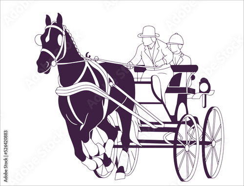 Equestrian sport, Combined driving, Beautiful horse with carriage. Old transportation, harness horse. Isolated white background