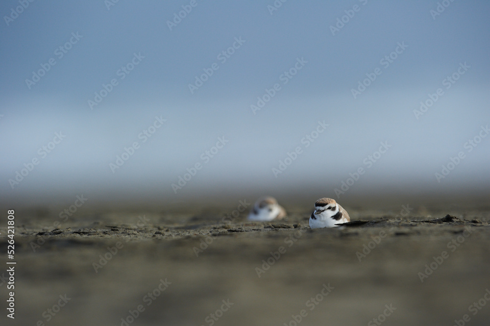 Océan pacifique Californie Océan pacifique Californie