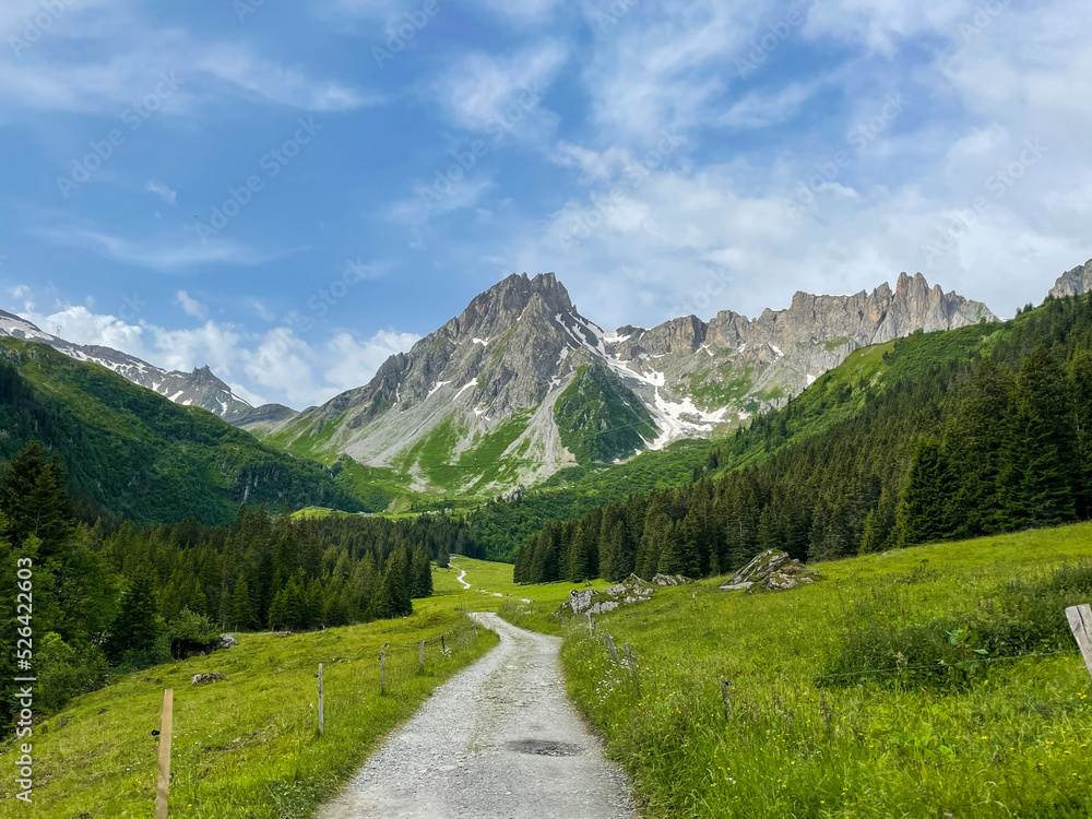 Fototapeta premium mountain road in the swiss mountains