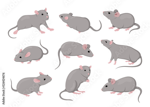 Mouse and rat, isolated mice animals set. Cute rodent characters in different poses on white background, little house pets, simple graphic. Zodiac creature vector cartoon flat illustration