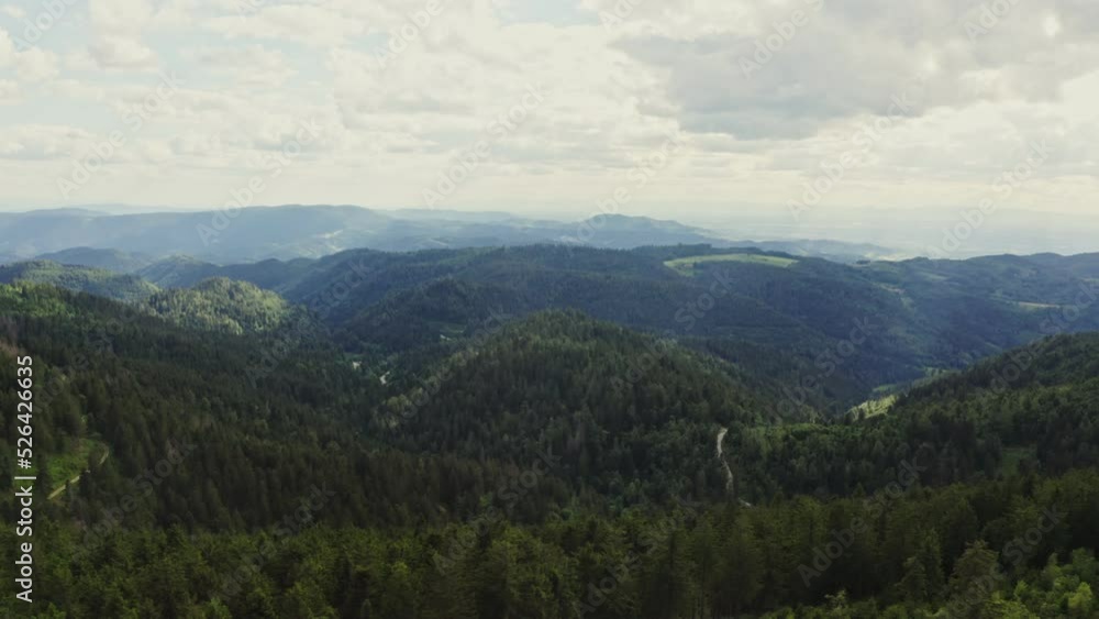 Horizontal panning from a drone, scenic view of a green hilly valley overgrown with a dense spruce forest in the rays of sunlight Horizontal panning from a drone, scenic view of a green hilly valley overgrown with a dense spruce forest in the rays of sunlight