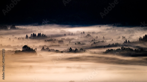 Fototapeta Naklejka Na Ścianę i Meble -  Sunrise in the San River valley on the border between Poland and Ukraine. Bieszczady Mountains, Carpathians.