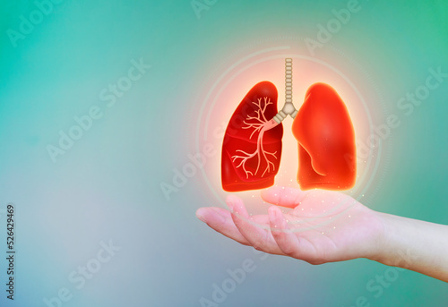 Person's hands holding digital lung, tuberculosis, lung cancer, world no tobacco day, covid, sars, copd, organ donation photo